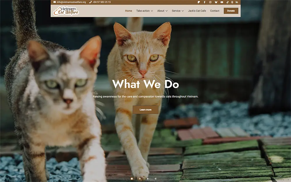 Screenshot of Vietnam Cat Welfare
